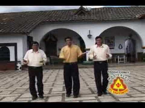 GALLITO CANTOR LOS CARIÑOSOS DE CHOTA