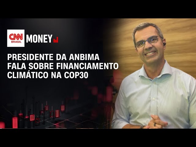 Anbima: Mercado brasileiro pode canalizar recursos para a transição de baixo carbono | MONEY NEWS