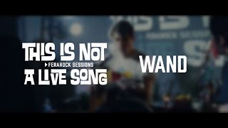 This is Not a Live Song Ferarock Sessions - WAND