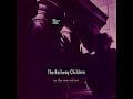 The Railway Children - In The Meantime (LYRICS)
