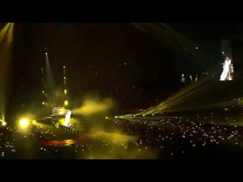 Look Only At Me Rose Solo