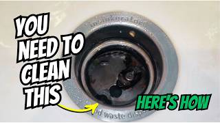 How to Clean Garbage Disposal: Step-By-Step Directions #nontoxiccleaning #cleaningtips #amazonfinds