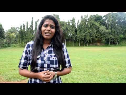 Ms . W.Hansini Kaushalya Alles - Apprentice Facilitator in HWOT Children