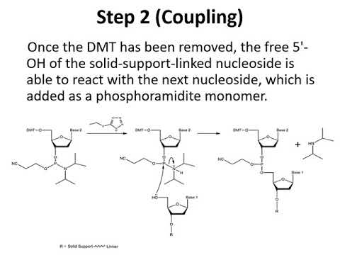 Lecture 35 - CHEM2114 - Synthesis Of Oligonucleotides