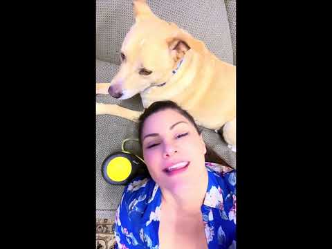 TIERRA #Legacy working on new album .