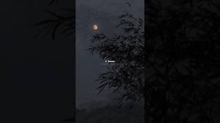 Download lagu I Wanna Live 💔 ( Lyrics ) Aesthetic Edit - Lyrical Aesthetics #lyrics #aesthetic #lyricalaesthetics mp3