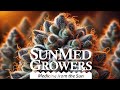 Behind The Curtain At The Largest Cannabis GreenHouse On The Eastern Seaboard