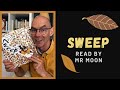 Sweep Stories For Children At Home