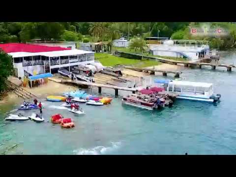 dolphin jet ski