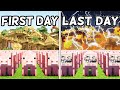 I Made 100 Pigs Simulate A Survivable Civilization In Minecraft