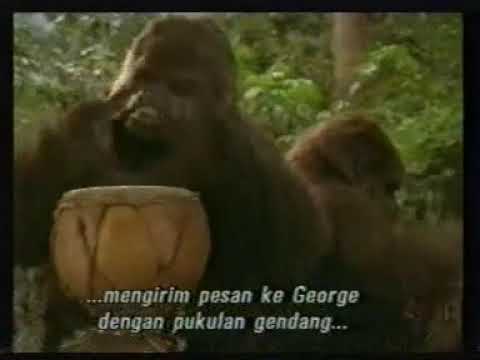 Winam Jazz Band Of Africa - Nwalimu Kaisa (Official Video)