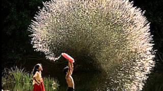 Pat Metheny - Cherish