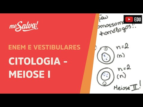 Me Salva! CIT28 - Citologia - Meiose I