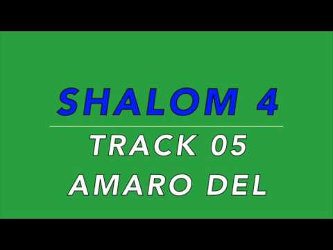 SHALOM 4 TRACK 05 AMARO DEL