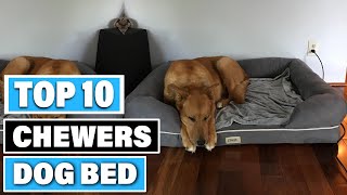 Best Chewer Dog Bed In 2025- Top 10 Chewer Dog Beds Review