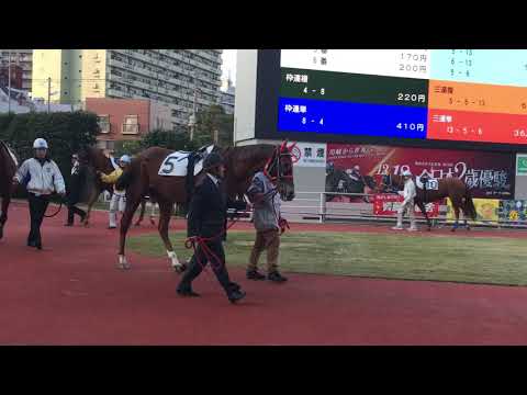 2019.12.18 川崎🐎4R ヴィクトリーノース