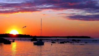 Ochrasy - Mando Diao (MTV Unplugged)