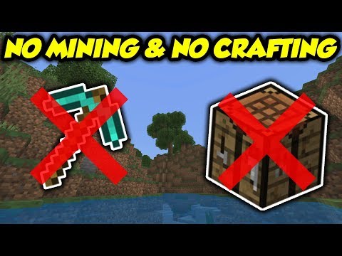 ibxtoycat - Tested: Can You Beat Minecraft Without Mining OR Crafting?