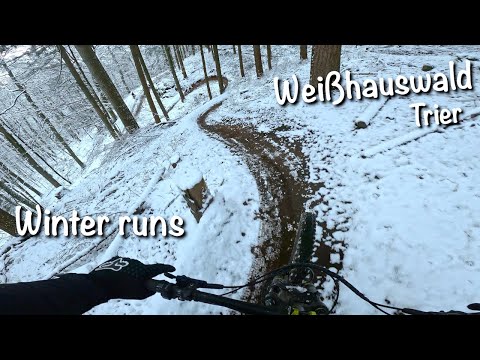 Weißhauswald Trier - Winter runs