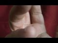 The Fellowship of Hell - They Might Be Giants