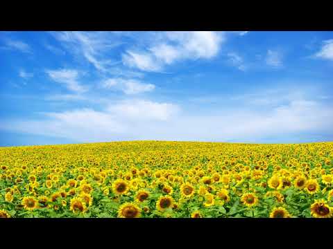 Astăzi mă-nchin Domnului și-I cânt slavă - video