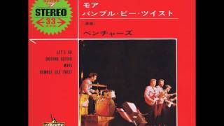 THE VENTURES Driving guitar 二人ベンチャーズ