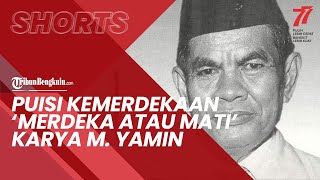 Puisi 'Merdeka atau Mati' Karya M.Yamin, Kumpulan Puisi Cocok untuk Mengenang Jasa Pahlawan