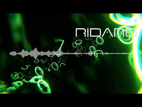 Ridaro - Drum & Bass (Volume 8)