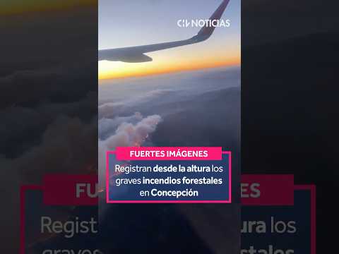 Registran desde la altura los graves incendios forestales en Concepción