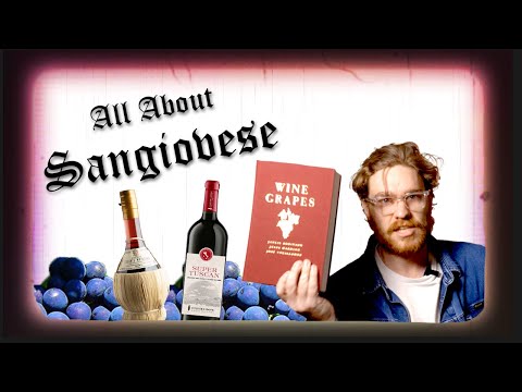 Sangiovese - Italy's Favourite Grape Variety