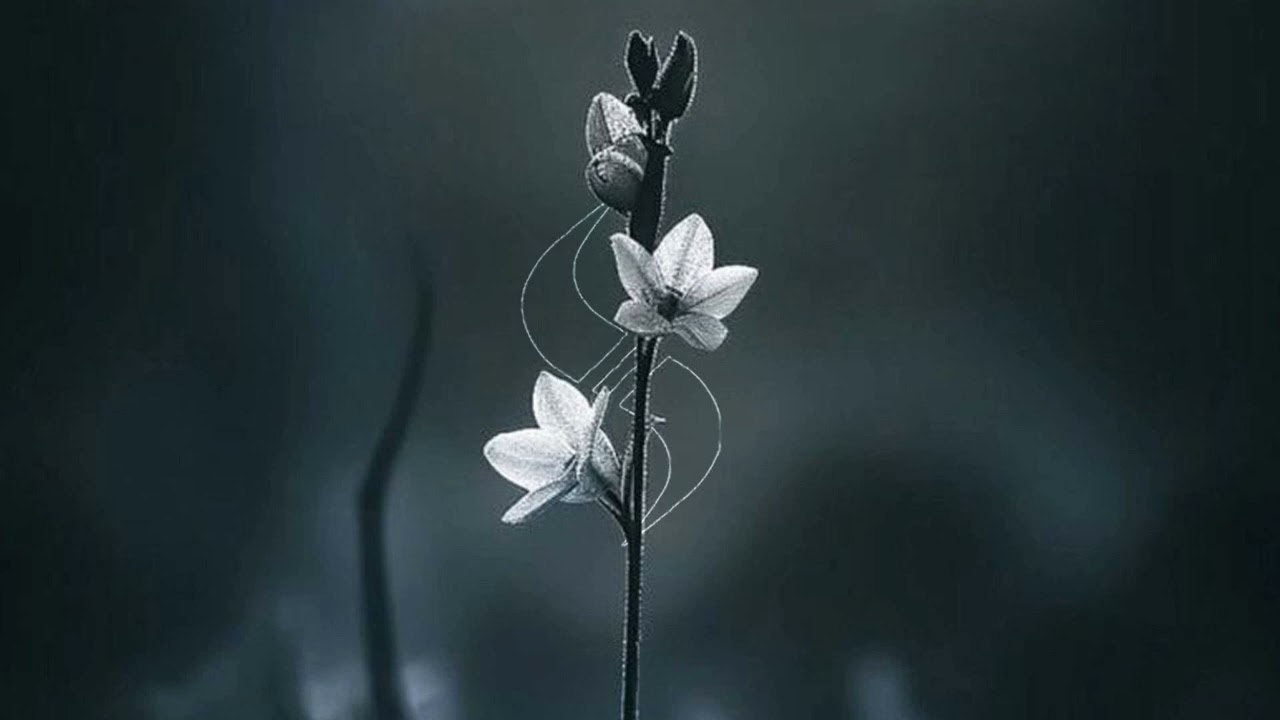 Kadence - Play Those Games