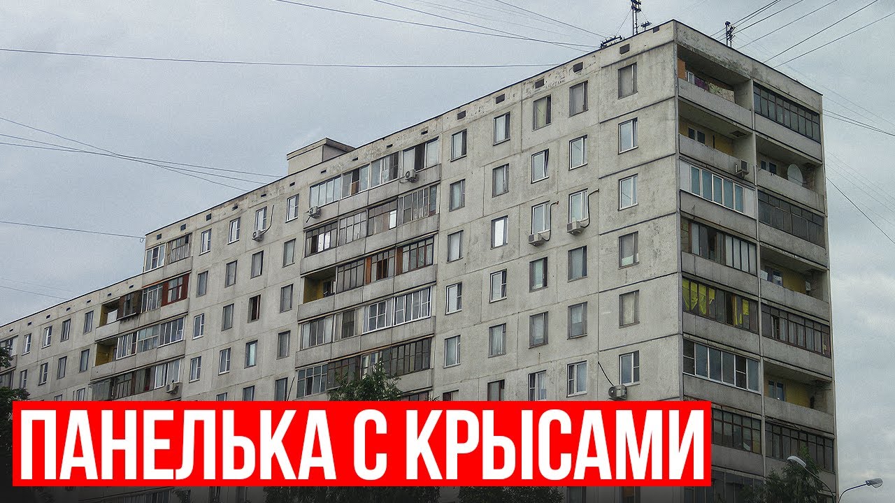 Отзыв о 