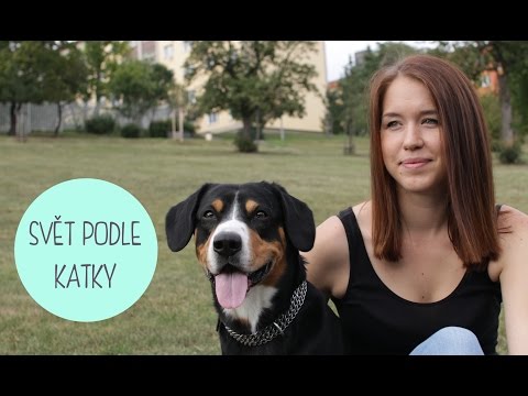 Set waga Program kulturystyka Tamoksyfen instrukcje użytkowania dla mężczyzn w kulturystyce