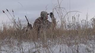 Calling Big Wide Open Country!