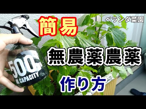 オーガニックガーデニング: 自然で地球に優しい自家製殺虫剤の 4 つのレシピ  庭園