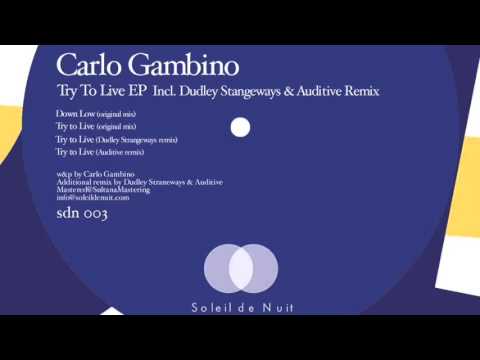 Carlo Gambino - Down Low (Original Mix) SDN003