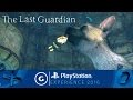 The Last Guardian - PSX 2016 Trailer