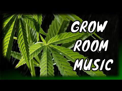 Music for Cannabis Grow 🌱 Plant Growth Music! - Grow Room Music (8hr)