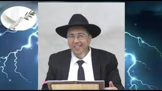 פרשת נח תשפ"ה -  נקודה טובה בכל יהודי   הרב שלמה ברסקה שליט"א