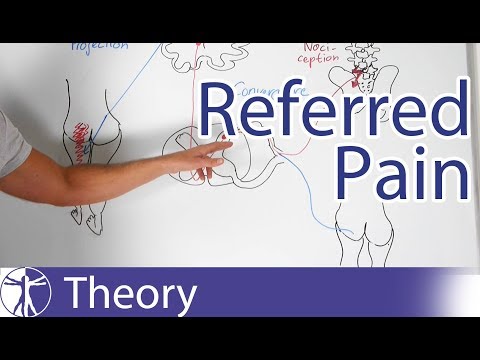 Referred Pain Explained