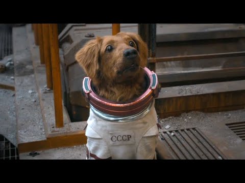Cosmo the Spacedog | She Is A Bad Dog | WMP