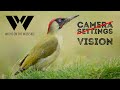 Stop thinking about photography settings, start developing your vision