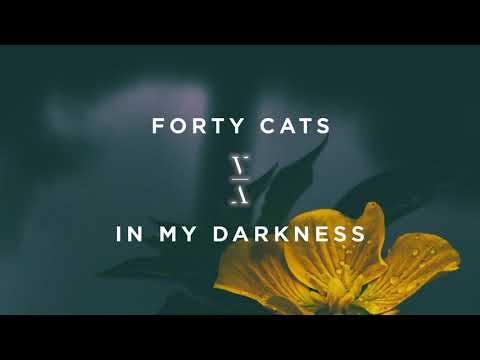 Forty Cats - In My Darkness