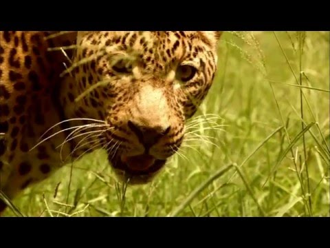 Prima ZOOM - Rychlost zabíjí