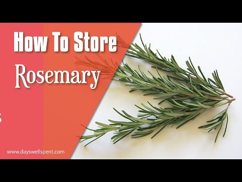 download lagu mp3 mp4 How To Store Fresh Cut Rosemary, download lagu How To Store Fresh Cut Rosemary gratis, unduh video klip How To Store Fresh Cut Rosemary