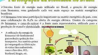 Qual Alternativa Abaixo Apresenta Somente Fontes Renováveis De Energia