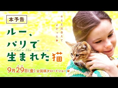 ルー、パリで生まれた猫の出演者・配信先