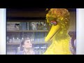 Sesame Street Rhymerainer Wake Up