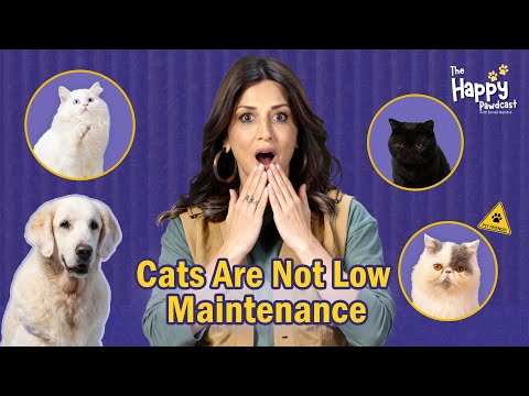 Your Ultimate Cat Parenting Guide | Hosted by Sonali Bendre Ft. Rohan Joshi & Saquib Pathan