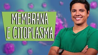 MEMBRANA E CITOPLASMA - ORGANELAS - Resumo para a Prova - Prof. Kennedy Ramos
